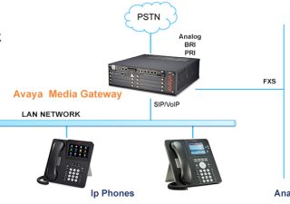standard ip