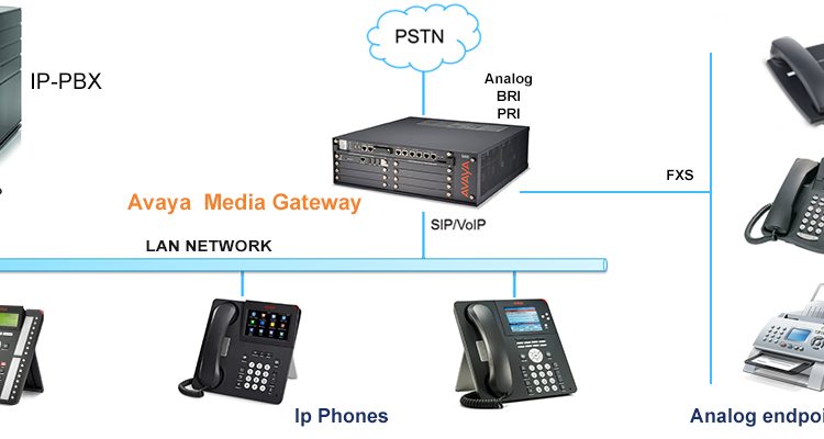 standard ip