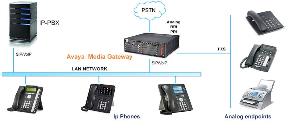 standard ip